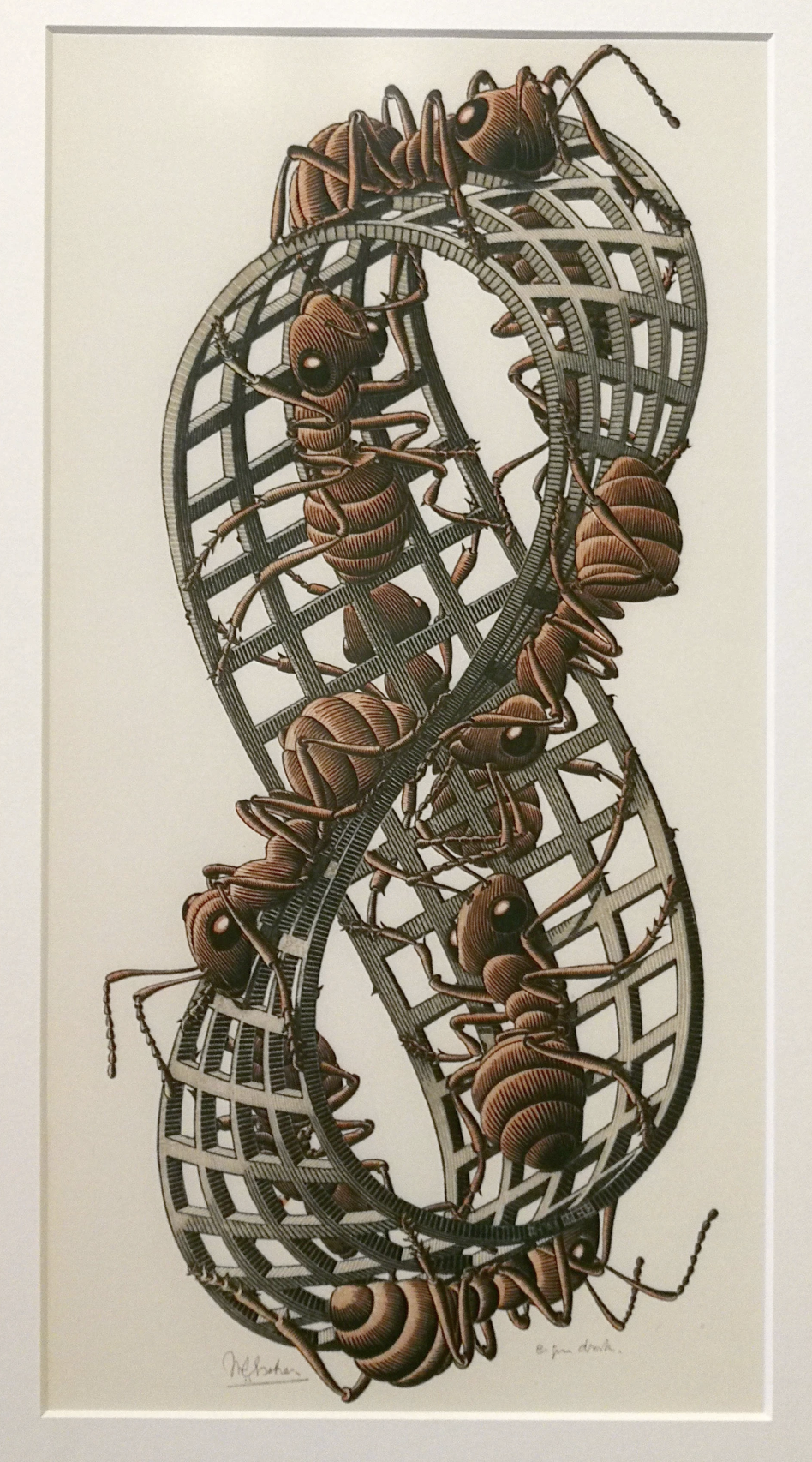 Lithograph figure for Mobius Strip II